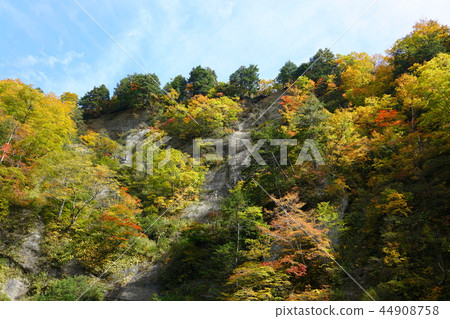 日本的百景點:在花谷腳下的秋葉 日本的百景點:在花谷腳下的秋葉 44908758