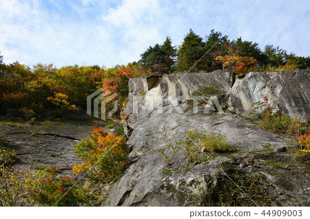 日本的百景點：在花谷腳下的秋葉 44909003