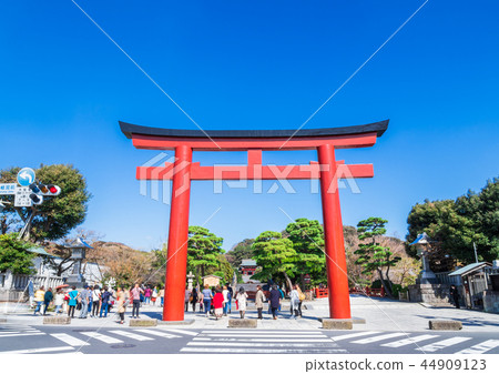 Torii of Kamakura Tsurugaoka Hachimangu Shrine 44909123