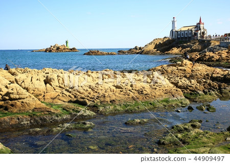 海,建築學,大教堂,大教堂 海,建築學,大教堂,大教堂 44909497