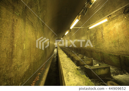 Okutama Shiramaru Dam魚道 Okutama Shiramaru Dam魚道 44909652