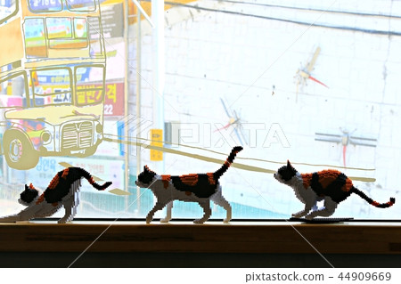 動物，模型，靜物，貓 44909669