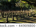 Southwest war related ruins, seven commander army cemetery 44909800