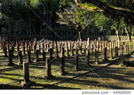 西南戰爭相關遺址,七指揮軍墓地 西南戰爭相關遺址,七指揮軍墓地 44909800