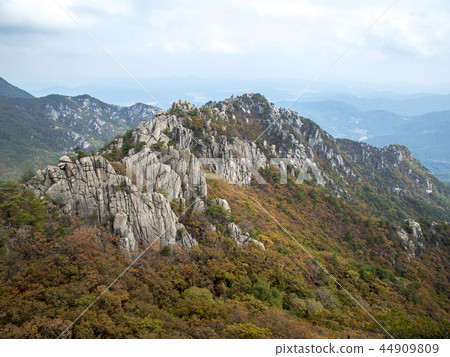 Hapcheon與槭樹葉子的秋天風景 Hapcheon與槭樹葉子的秋天風景 44909809