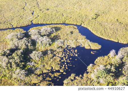 Okavango Delta in Botswana Okavango Delta in Botswana 44910627
