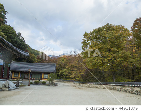 World Cultural Heritage 44911379