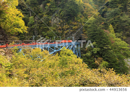 Kurobe Canyon Torokko Railway 44913656