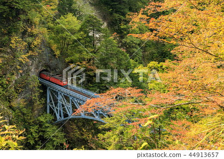 Kurobe Canyon Torokko Railway 44913657