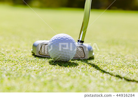 Fresh green golf course 44916284