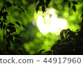 green bokeh blur abstract  and dark  background  44917960