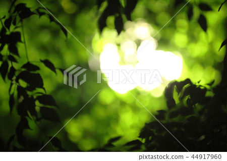 green bokeh blur abstract and dark background green bokeh blur abstract and dark background 44917960