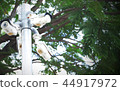 closed circuit camera 44917972