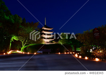 Rurikoji寺五層塔 44918343