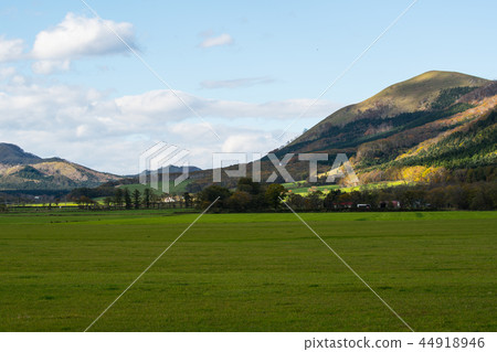 Hokkaido autumn leaves Hokkaido autumn leaves 44918946