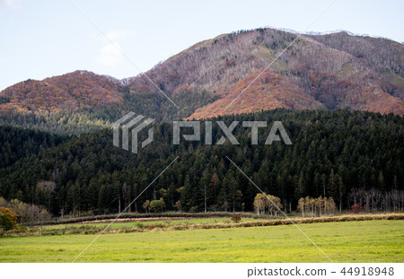 Hokkaido autumn leaves Hokkaido autumn leaves 44918948