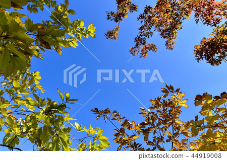 Yu-Yang Ecological Park, Hahan-gun, Gyeongnam 44919008