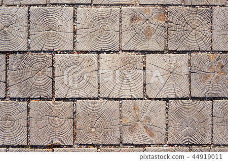 Wooden cross section texture. Pavement blocks. 44919011