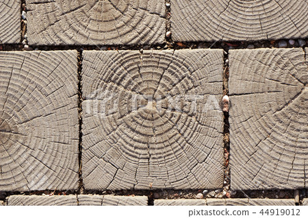 Wooden cross section texture. Pavement blocks. 44919012
