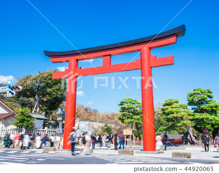 Torii of Kamakura Tsurugaoka Hachimangu Shrine Torii of Kamakura Tsurugaoka Hachimangu Shrine 44920065