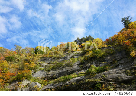 日本的百景點:在花谷腳下的秋葉 日本的百景點:在花谷腳下的秋葉 44920648
