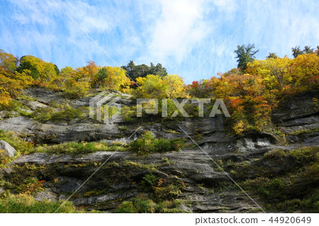 日本的百景點：在花谷腳下的秋葉 44920649