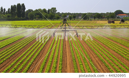 Water Irrigation Sprinkler 44920995