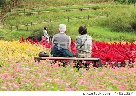 Kitou花田和老夫婦 44921327