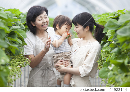 草莓家庭 草莓家庭 44922144