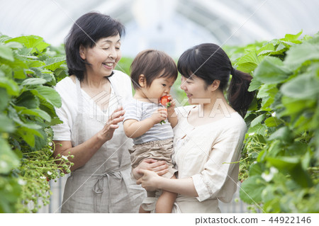 Strawberry Family Family Strawberry Family Family 44922146