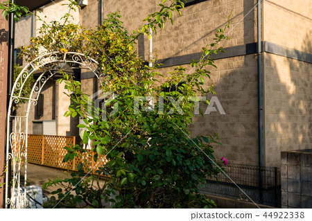 住房園藝 44922338