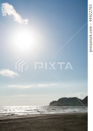 [神奈川縣]秋海 44922763