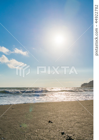 [神奈川縣]秋海 44922782