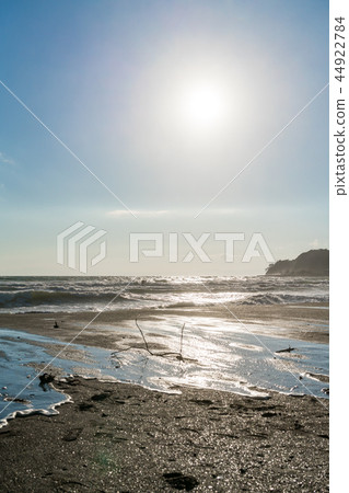 [神奈川縣]秋海 44922784