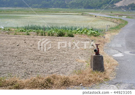 Fire hydrant and field Fire hydrant and field 44923105
