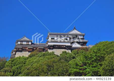 [愛媛縣松山市]松山城 44923139