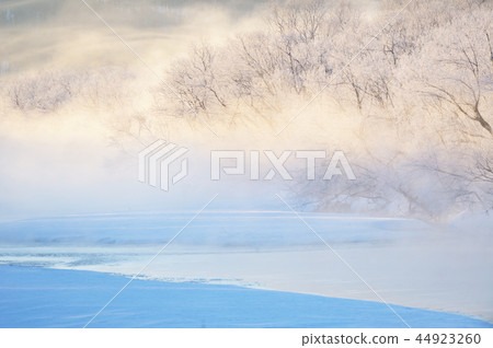 Chaoyang (Hokkaido) inserted into frost covered in ice 44923260