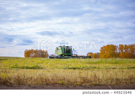 Harvester is driving across the huge field 44923846