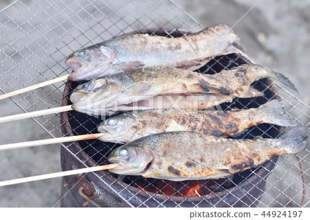 Grilled fish with fish after fishing 44924197