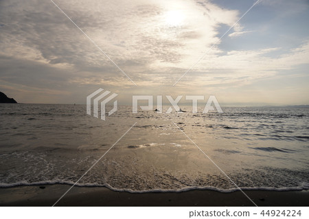 湘南海 湘南海 44924224