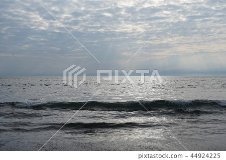 湘南海 湘南海 44924225