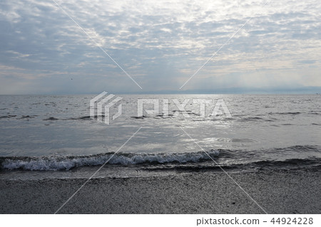 湘南海 湘南海 44924228