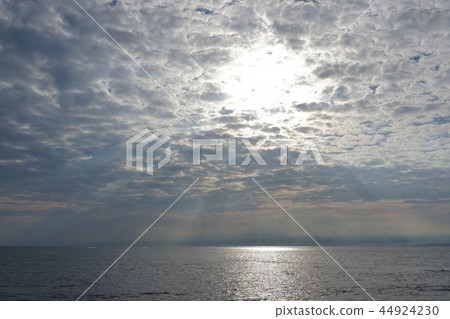 湘南海 湘南海 44924230