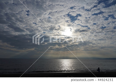 湘南海 湘南海 44924231