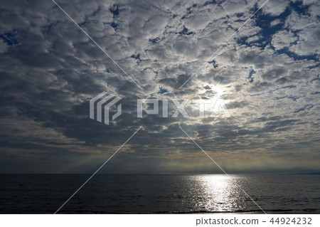 湘南海 湘南海 44924232