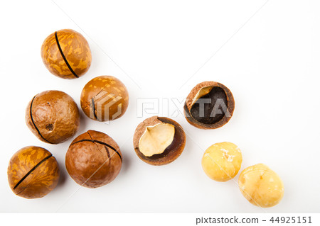 Macadamia nut white background Macadamia nut white background 44925151