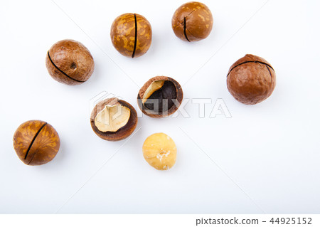 Macadamia nut white background Macadamia nut white background 44925152