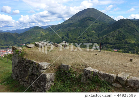 津和野(津和野城堡) 津和野(津和野城堡) 44925599