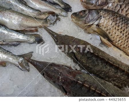 Freshly caught fish 44925655