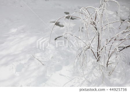 Winter landscape Winter landscape 44925736